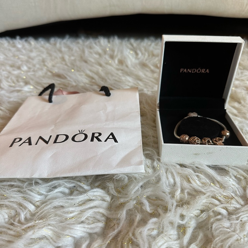 Pandora Charm Bracelet with gold charms!